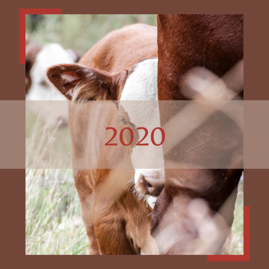 2020